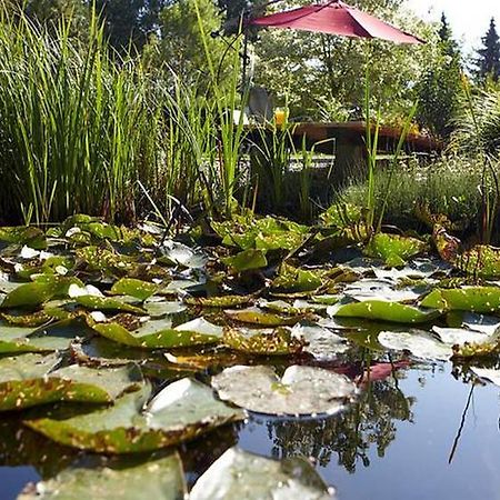 Hotel Waldblick Deppe Λίπσταντ Εξωτερικό φωτογραφία